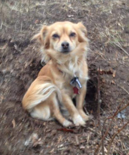 marley aka marles barkley and moozer 1772860228
